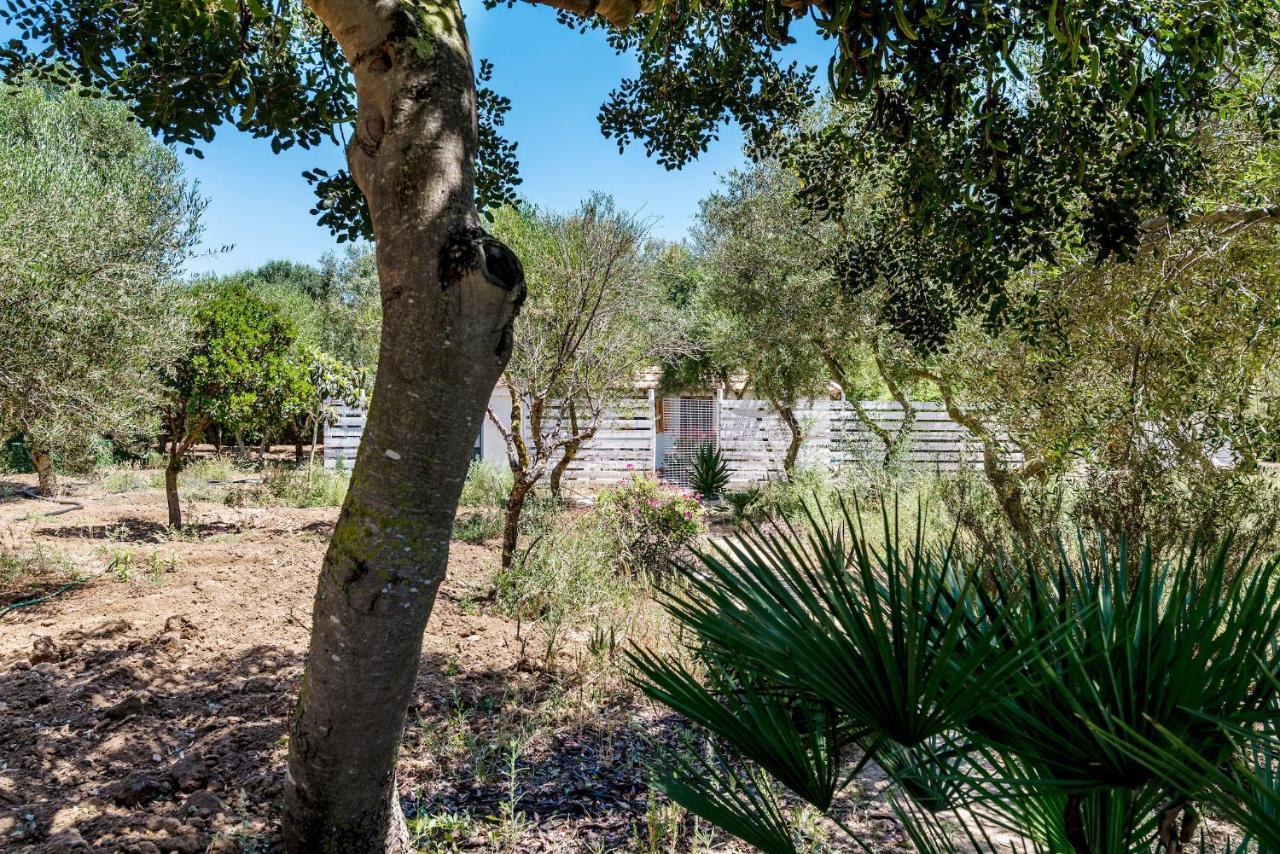 Casita-Estudio El Castano El Palmar de Vejer Exterior foto